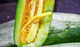 南充网红杜萧吃瓜,吃瓜成瘾，揭秘娱乐圈幕后风云